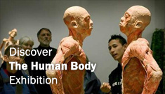 Discover the Human Body Exhibition
